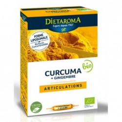 Curcuma + gingembre ampoule