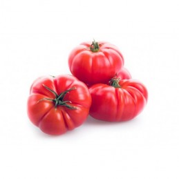 Tomate cotelee rouge