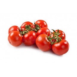 Tomate ronde grappe italie