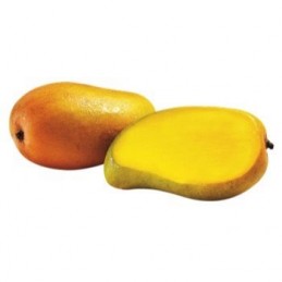 Mangue ataulfo