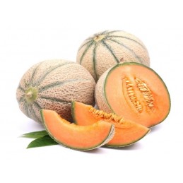 Melon charentais Maroc